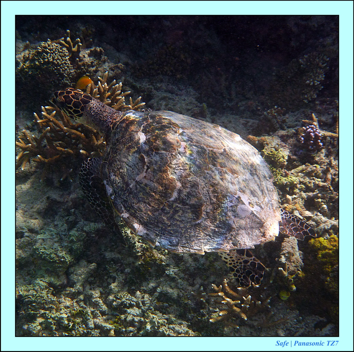 2012 - 07 - Gili - 86